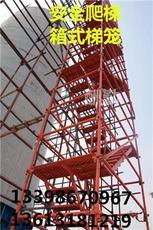 專業(yè)施工安全爬梯產(chǎn)品展示